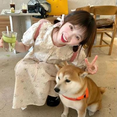 够姜小强爱上够靓小奥 海报