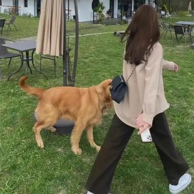 黑暗中的舞者 海报