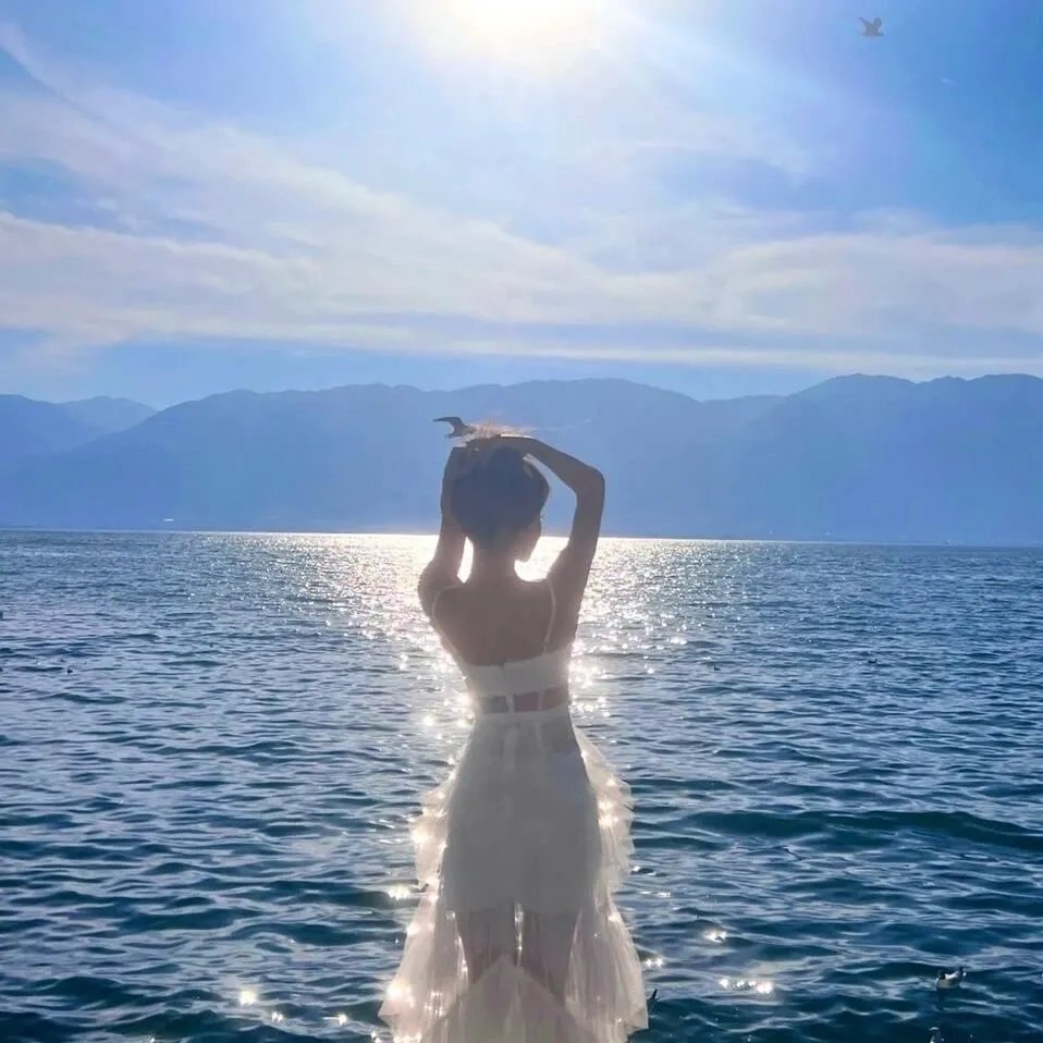 纸牌之国 海报